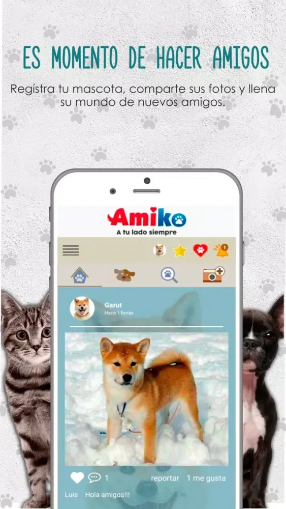 تصاویر Amiko