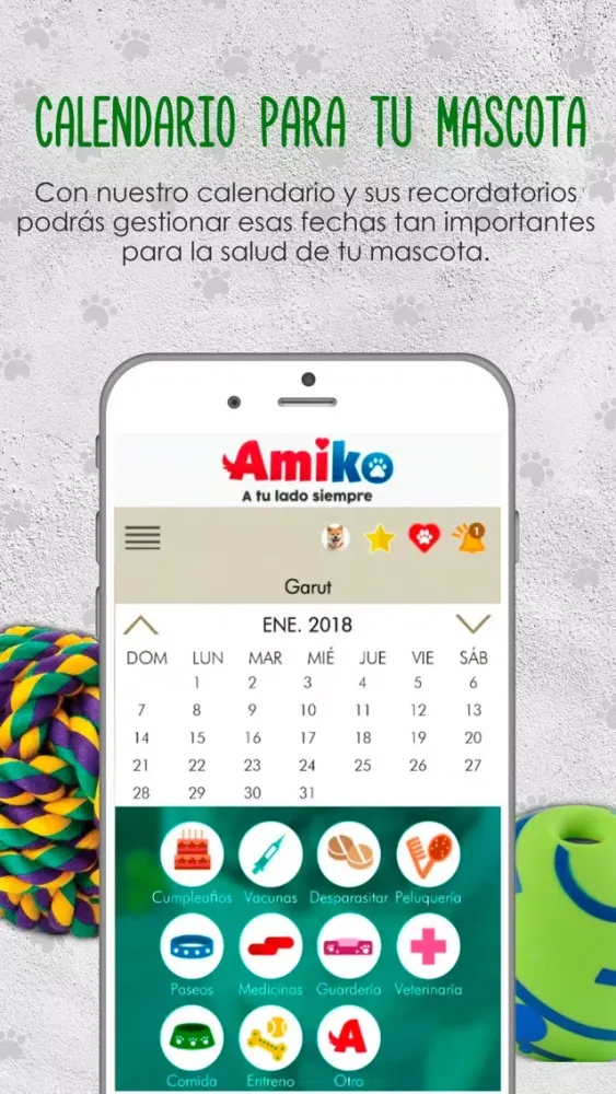 تصاویر Amiko