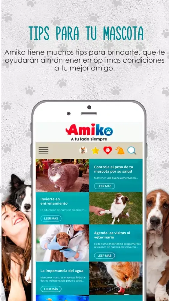 تصاویر Amiko