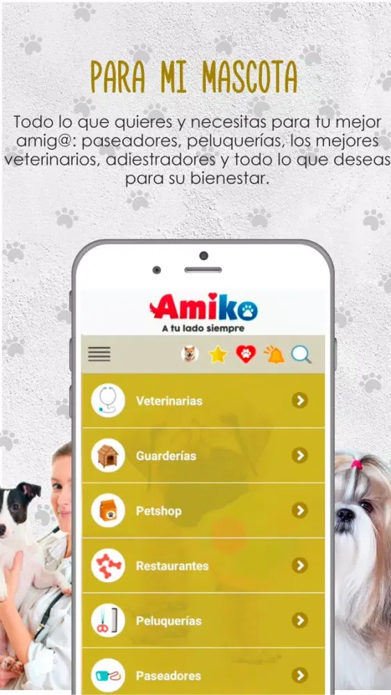 تصاویر Amiko