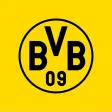BVB eAcademy