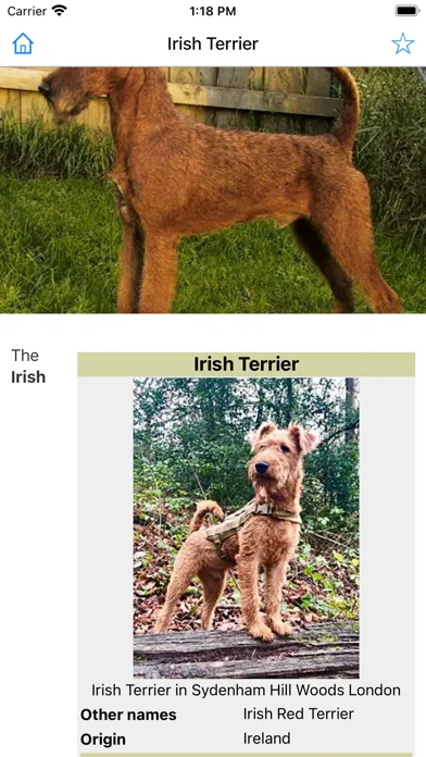 Encyclopedia of Dogs Screenshots