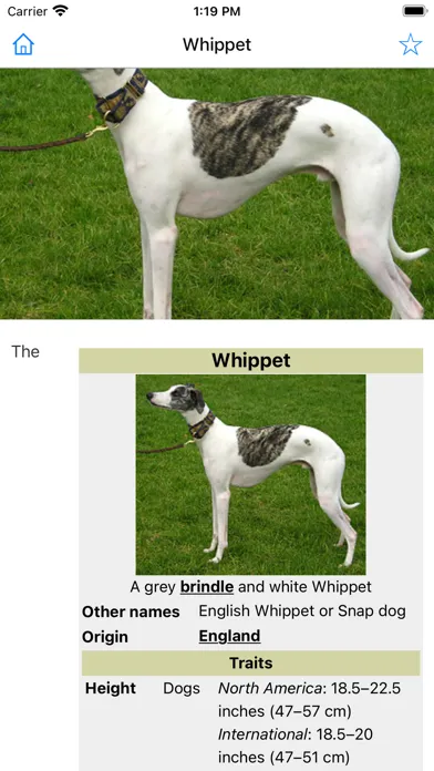 Encyclopedia of Dogs Screenshots
