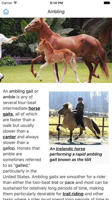Capturas de pantalla de CHI Encyclopedia of Horses