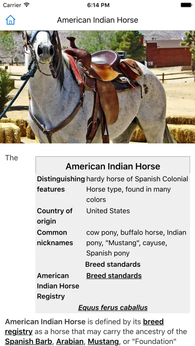 Capturas de pantalla de CHI Encyclopedia of Horses