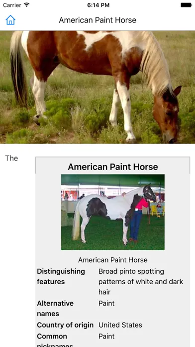 Capturas de pantalla de CHI Encyclopedia of Horses