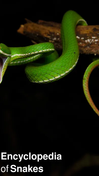 CHI Encyclopedia of Snakes应用截图