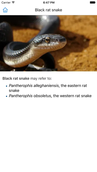 CHI Encyclopedia of Snakes应用截图