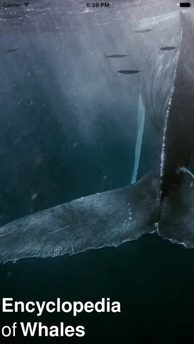 CHI Encyclopedia of Whales Screenshots