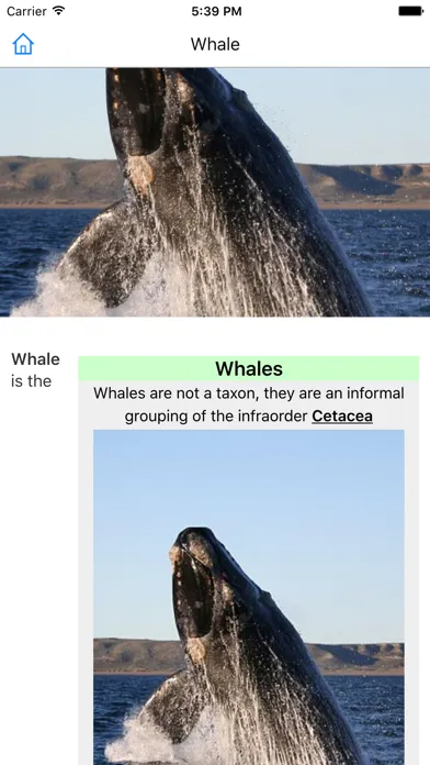 CHI Encyclopedia of Whales Screenshots