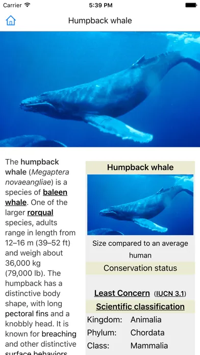 CHI Encyclopedia of Whales Screenshots