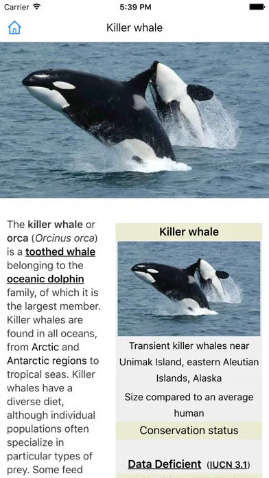 CHI Encyclopedia of Whales Screenshots