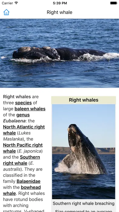 CHI Encyclopedia of Whales Screenshots