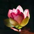 Zen Wallpapers 2024 Zen Wallpapers 2024