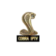 Cobra Tv