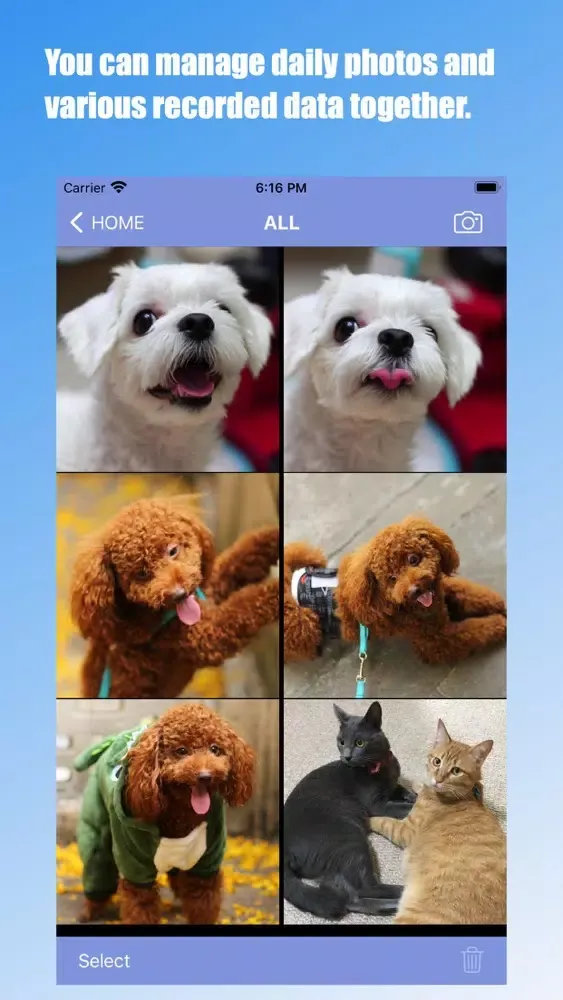 Capturas de pantalla de Pet Care : Diary app for pets