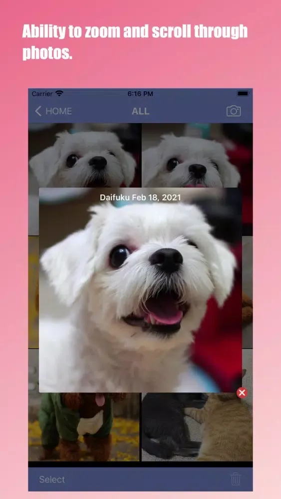 Capturas de pantalla de Pet Care : Diary app for pets
