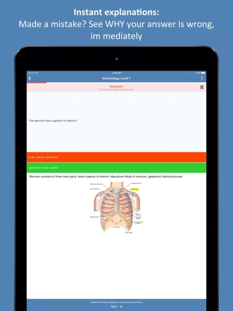 MBLEx® Massage Practice Test iPad  سکرین شاٹس