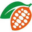 cococaapp