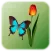Butterfly Tap