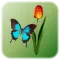 Butterfly Tap