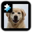 Jigsaw Puzzle: Dog