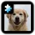 Jigsaw Puzzle: Dog