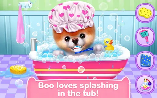 Boo - The World's Cutest Dog スクリーンショット
