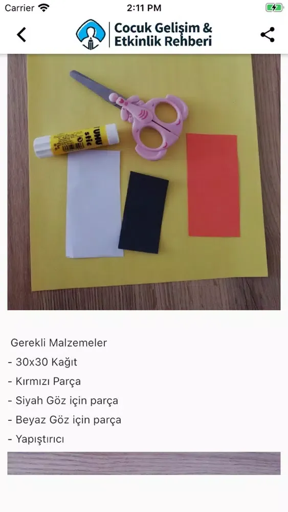 Çocuk Gelişim Etkinlik Rehberi スクリーンショット