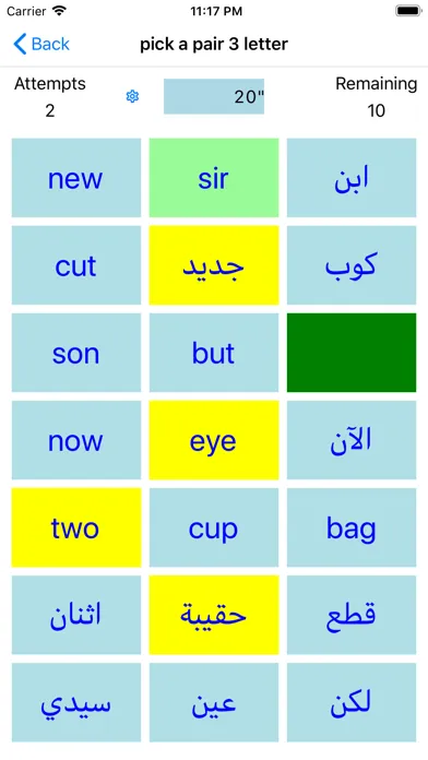 PickAPair Arabic - English Screenshots