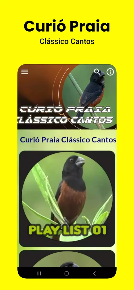 Curió Praia Clássico Cantos应用截图