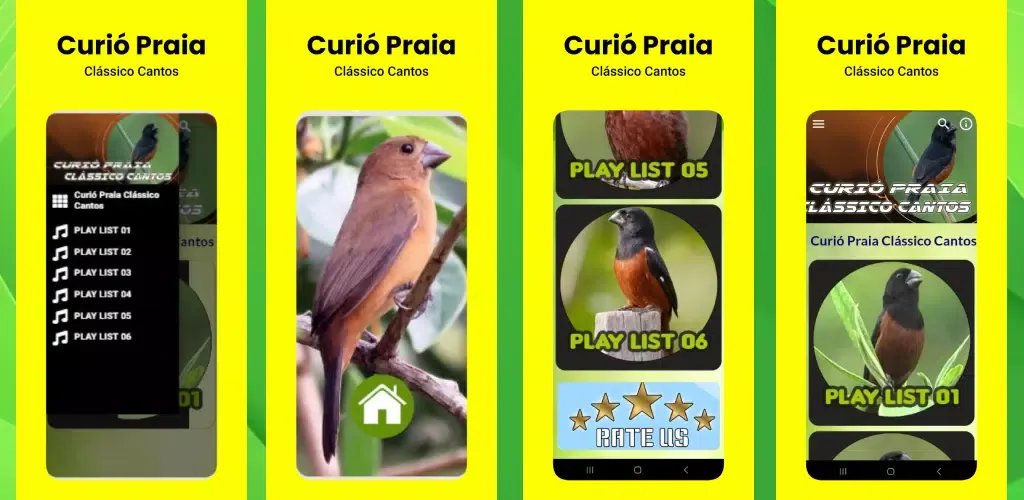 Curió Praia Clássico Cantos应用截图