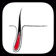 Hair Graft Helper