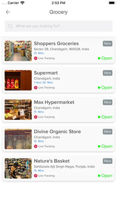 Screenshot di Royo Essentials