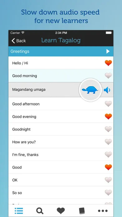 تصاویر Learn Tagalog - Phrasebook