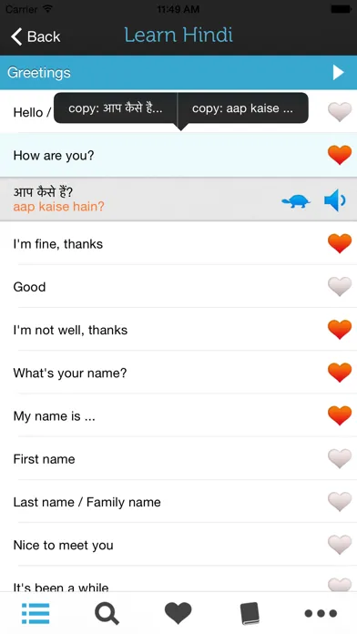 Tangkapan skrin Learn Hindi - Phrasebook