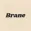 Brane - Game Developer Name Ge