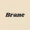 Brane - Game Developer Name Ge