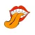 Tongue diagnosis handbook