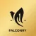 Falconry Store