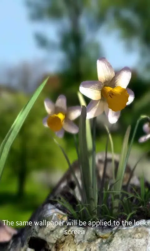 Nature Live: The Spring 3D XL Screenshots