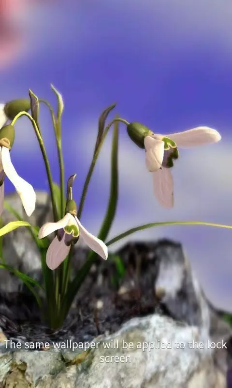 Nature Live: The Spring 3D XL Screenshots