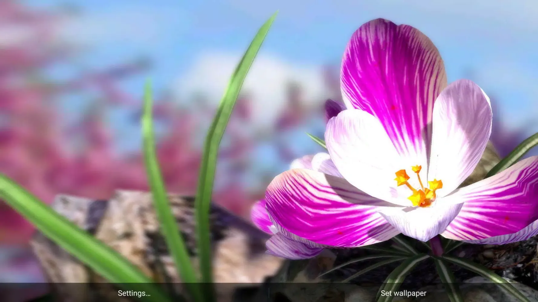 Nature Live: The Spring 3D XL Screenshots