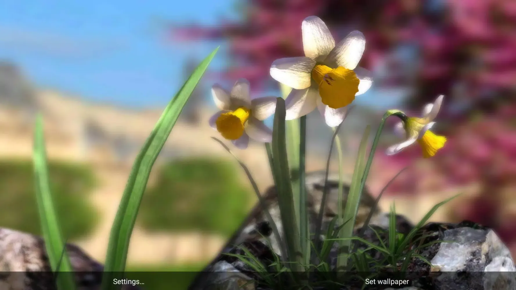 Nature Live: The Spring 3D XL Screenshots