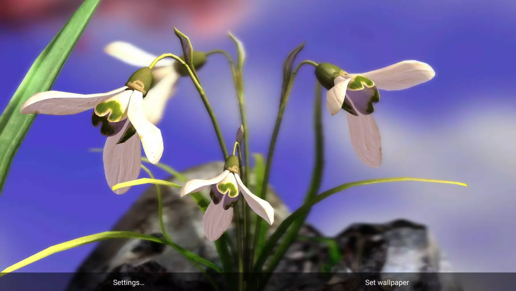 Nature Live: The Spring 3D XL Screenshots