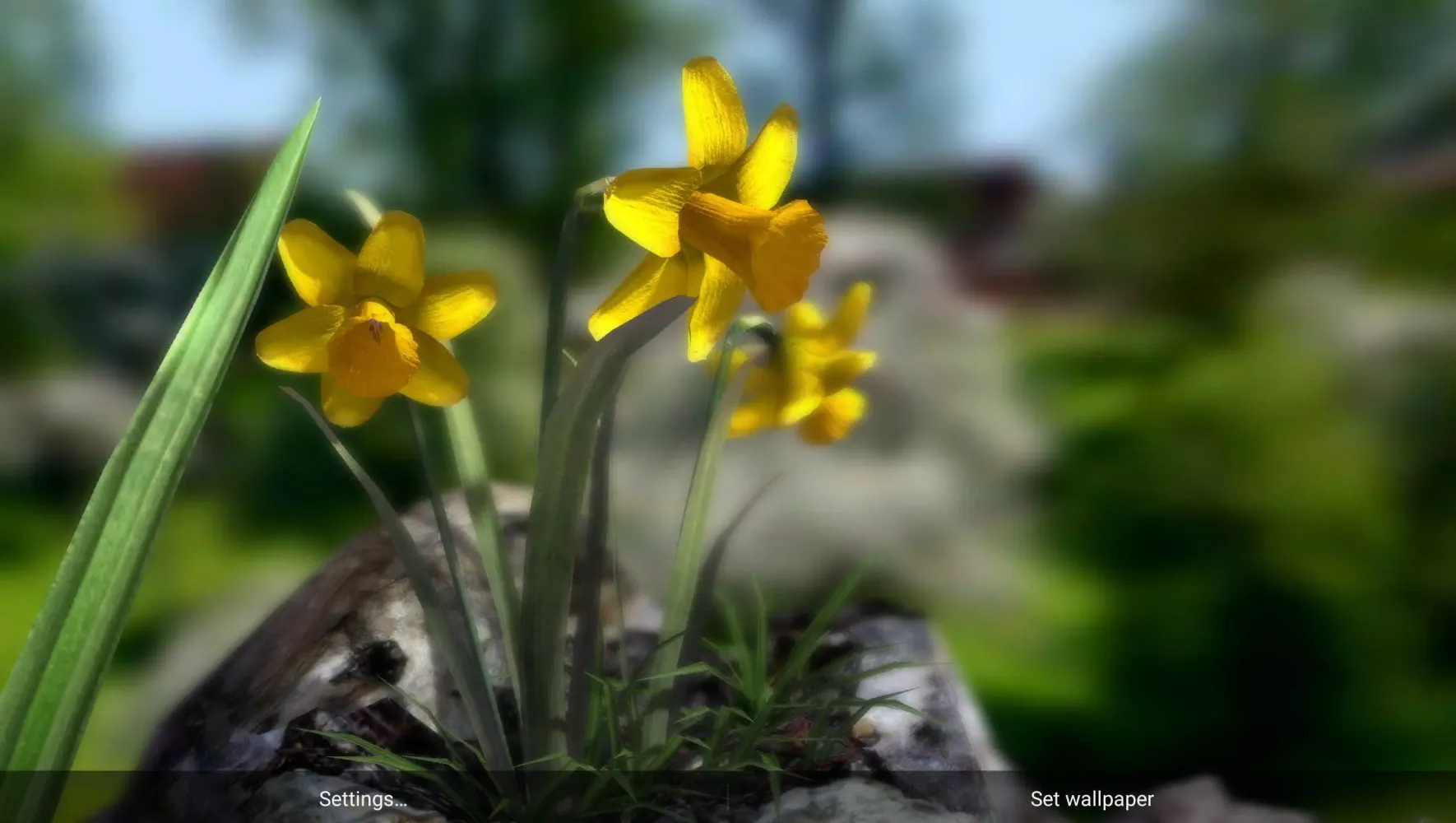 Nature Live: The Spring 3D XL Screenshots