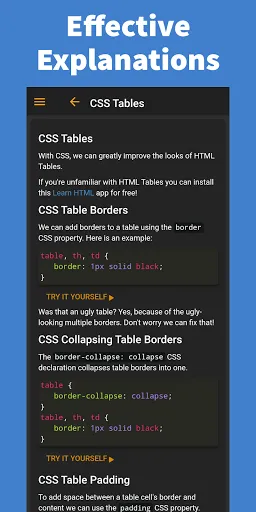Learn CSS - Pro Screenshots