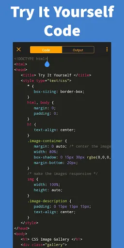 Learn CSS - Pro Screenshots