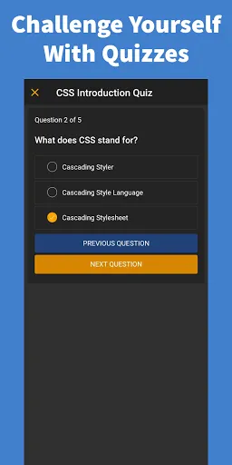 Learn CSS - Pro Screenshots