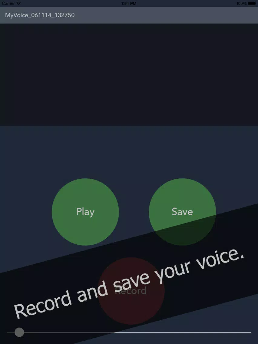 Voice Changer: Free Helium Booth iPad 应用截图